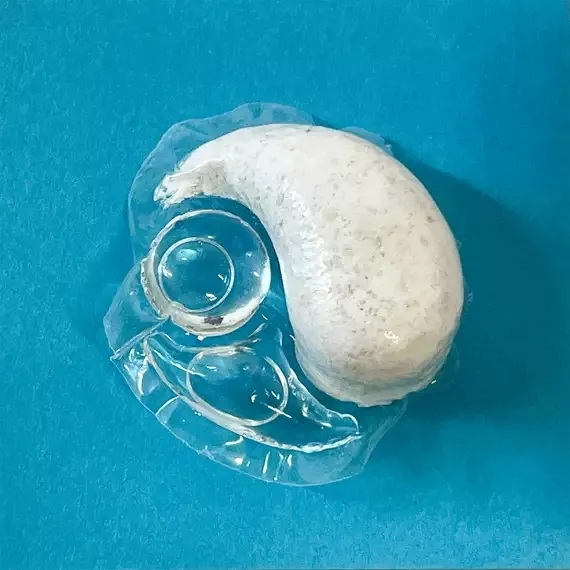 漂白剤ポッドを食器洗い機に入れてもいいですか?