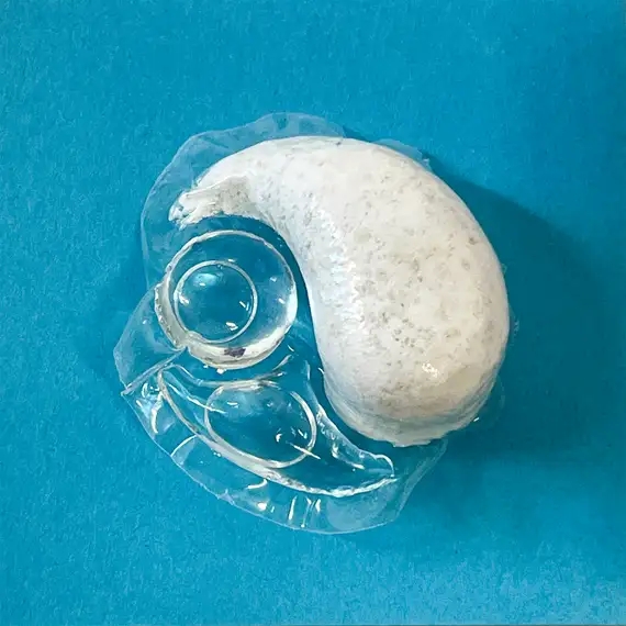 C'&egrave; candeggina nelle capsule della lavastoviglie?