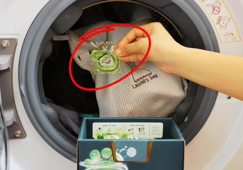 세탁물 포드는 어디로 가나요?